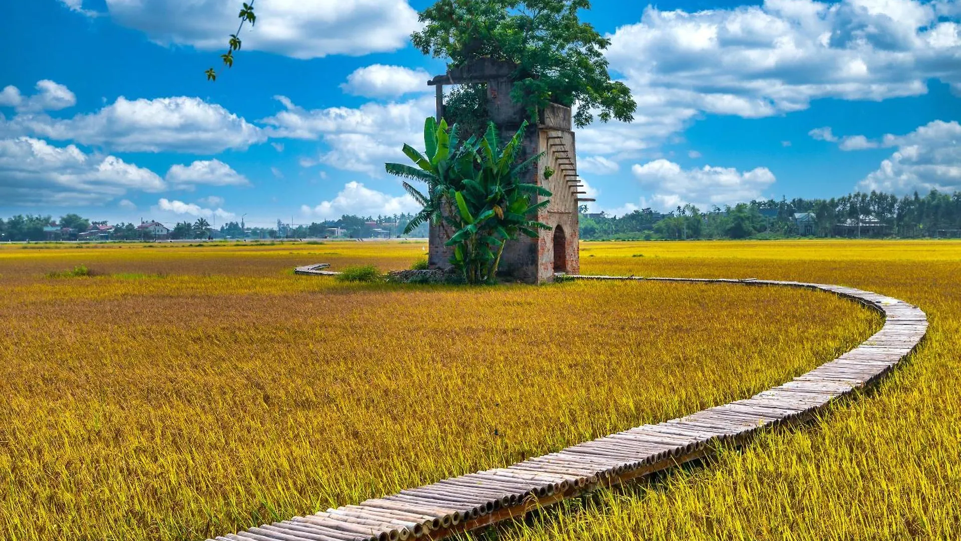 Cam Hc Villa Hoi An 0*,  Vietnam